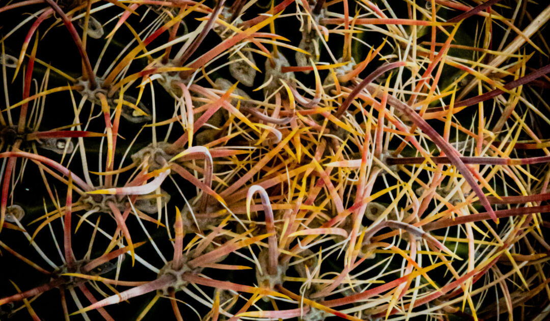 Untangling the Tithe